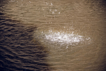 Water splash with droplets falling into a calm pond surface