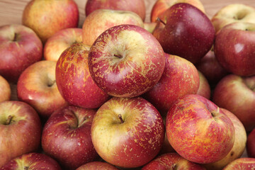 Fresh Red Fuji Apples from Liangshan Mountain - Natural Organic Fruit Display