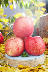 Fresh Red Fuji Apples from Shandong China on Rustic Wood Display with Autumn Leaves