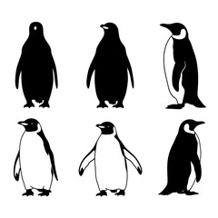Vector art of silhouette of penguins vector illustration of antarctic birds in different poses, standing and walking in a group © Sojib