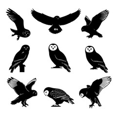 Vector art of collection of owl silhouettes, featuring various poses and wing positions for diverse design applications
