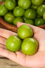 Fresh Green Plums in Hands - Healthy Organic Fruit Harvest Concept