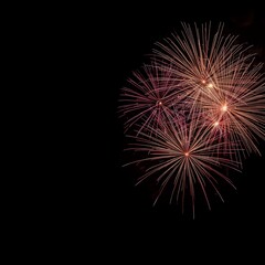 Obraz premium fireworks in the sky