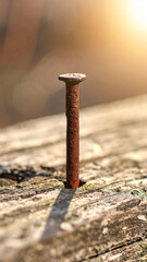 Macro focus on old nail, single rusty nail on weathered wood. Endurance and passage of time.