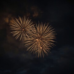 Obraz premium fireworks in the night sky