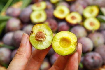 Freshly Picked Ripe Plum Halves Showing Golden Flesh During Harvest Season
