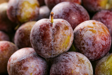 Fresh Red Sichuan Plums with Natural Bloom - Organic Stone Fruit Close-up