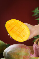 Fresh Ripe Mango Half Held in Hand Showing Diced Golden Flesh Pattern with Green Leaves Background