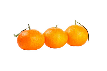 Fresh Picked Ehime Oranges Japanese Citrus Fruit Bounty Produce on White Background