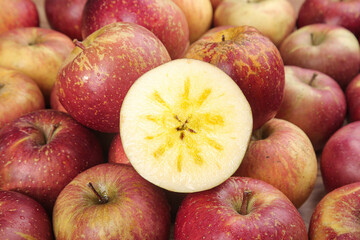 Cut Red Apples from Daliangshan Showing Natural Imperfections and Core Detail