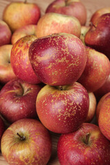 Fresh Red Fuji Apples with Speckled Skin Pattern Ready for Direct Market Supply