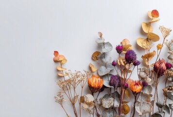 Fall floral composition with dried flowers and eucalyptus on a white background