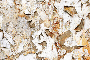 Old cracked paint on wall. Vintage grunge surface background. Peeling texture with rustic effect. Aged pattern for design. Retro shabby detail with destroyed surface look.