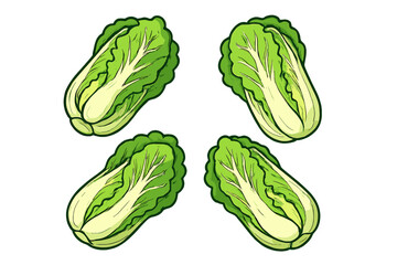 Chinese cabbage vector illustration set. Fresh Napa cabbage cartoon icon collection. Healthy organic green vegetable for grocery, market, diet food design element.
