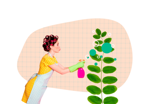 Composite trend artwork image collage of housewife pinup style hairdo young lady hand hold watering spray wash clean plant leaves nature