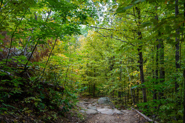 Obraz premium Forest trail through Gatineau Park, Quebec, Canada in autumn