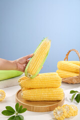 Fresh Yellow Sweet Corn Cobs on Wooden Plate with Hand Holding Corn - Healthy Organic Vegetable Food Photography