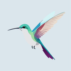 Obraz premium humming bird vector