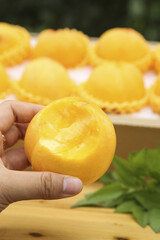 Large Fresh Golden Nectarine from Yimeng Mountain Region Showcase Display