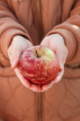 Fresh Red Apple in Cupped Hands from Daliangshan Zhaotong Region - Organic Fruit Care and Protection Concept