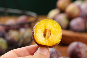 Hand holding fresh cut plum showing golden flesh and pit with harvest of ripe plums in background