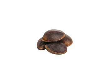 Harvested Pine Nuts in Shells - Wild Forest Food Ingredients on White Background