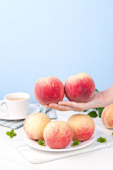 Fresh Red Peaches in Hand with Tea Cup - Late Summer Fall Fruit Still Life