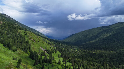 Scenic photo of lush green valley with dense trees under dramatic blue rain clouds in summer Altai mountains Kazakhstan