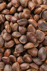 Wild Pine Nuts from Changbaishan Mountains - Fresh Harvested Natural Organic Nutty Produce for Healthy Cooking