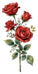 Vibrant Red Roses with Green Foliage Neutral Background
