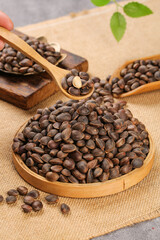 Fresh Wild Pine Nuts from Yunnan Mountains in Wooden Bowls - Harvested Organic Nuts Ready for Cooking