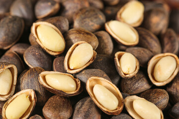 Wild Pine Nuts from Yunnan China - Fresh Harvest with Natural Shells and Edible Kernels