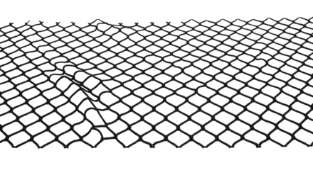 Securing your dreams A resilient cargo net ensuring safety and organization during transport on a