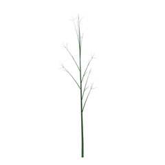 A single stem with small branches against a black background in a simple and minimalist style image