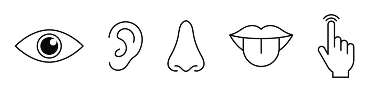 Human senses icon set. Vision eye, smell nose, hearing ear, touch hand, taste mouth with tongue. Simple line icons in black. Five senses of human nervous system.