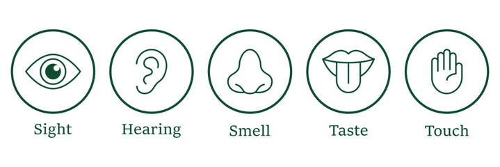 Five human senses editable stroke outline icons set. Flat vector illustration of human senses including ear, eye, nose, lips, and hand in minimalist design style. Five senses of human nervous system