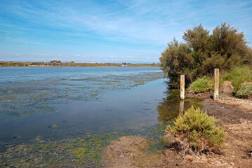 Zone de chasse, Lagune le Grau rivi&eacute;re la Rivi&eacute;rette, 34, H&eacute;rault, France
