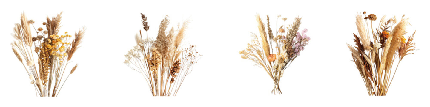 Bouquets of dried flowers pampas grass in a row