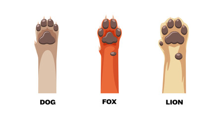 Paw print comparison of dog, fox, and lion in cartoon style