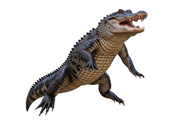 Fototapeta premium A powerful alligator poised in mid-leap against a stark black background, showcasing its intricate scales and sharp teeth.