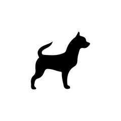 Chihuahua Silhouette: A minimalist, high-contrast silhouette of a chihuahua stands in profile, embodying the breed's distinct form and charm.