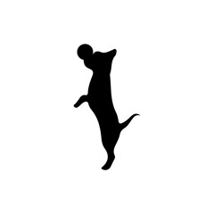 Energetic Dog Catching Ball: Silhouette of a playful dog jumping high, eagerly reaching to catch a ball, capturing a moment of pure joy and athleticism.