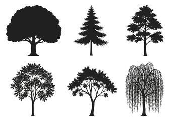 Fototapeta premium Vector art of collection of six distinct tree silhouettes, including an oak, a pine, and a weeping willow, isolated on a clean, ideal for design elements and nature illustrations