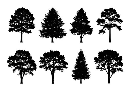 Vector art of collection of eight different tree silhouettes, showcasing diverse shapes and species, perfect for graphic design and nature illustration
