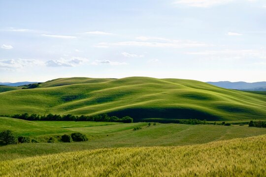 green field and blue sky