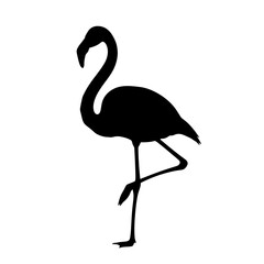 Naklejka premium Flamingo silhouette standing on one leg isolated on white background