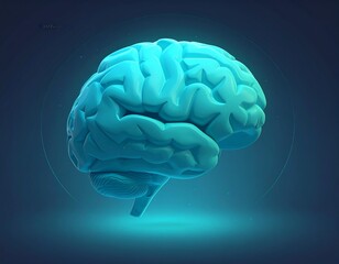 3D blue medical illustration of the human brain showing anatomy and neural structure