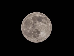 Detailed full moon against a night sky.