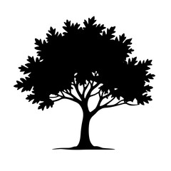 Minimalist black silhouette of a tree with full canopy on white background