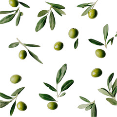 vector olive branch